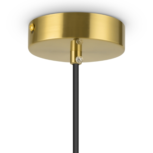 Светильник подвесной Eleon FR5218PL-01BS
