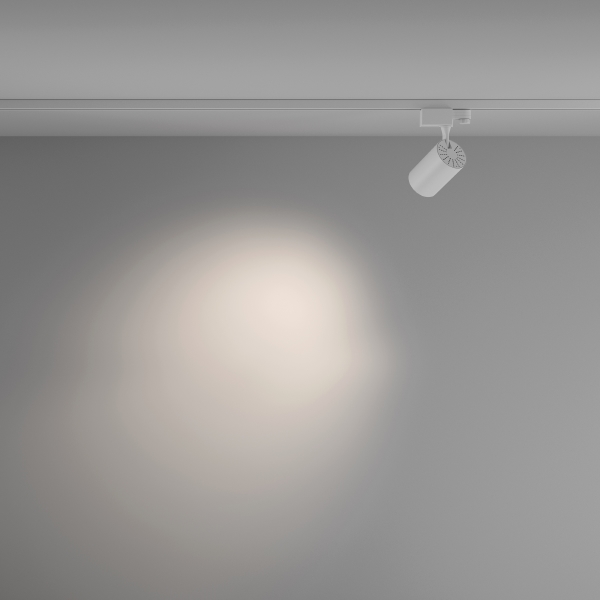 Трековый светильник Vuoro Trinity TR029-3-10W4K-M-W