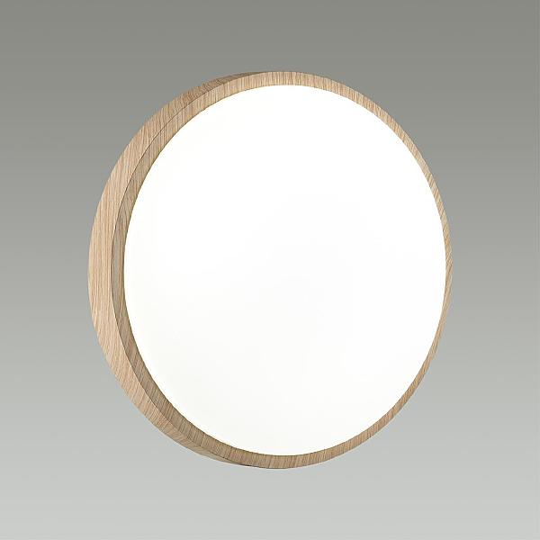 Настенно потолочный светильник Losta 7607/EL