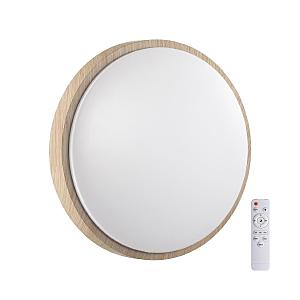 Настенно потолочный светильник Losta 7607/EL