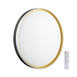 Настенно потолочный светильник Savi 7619/DL