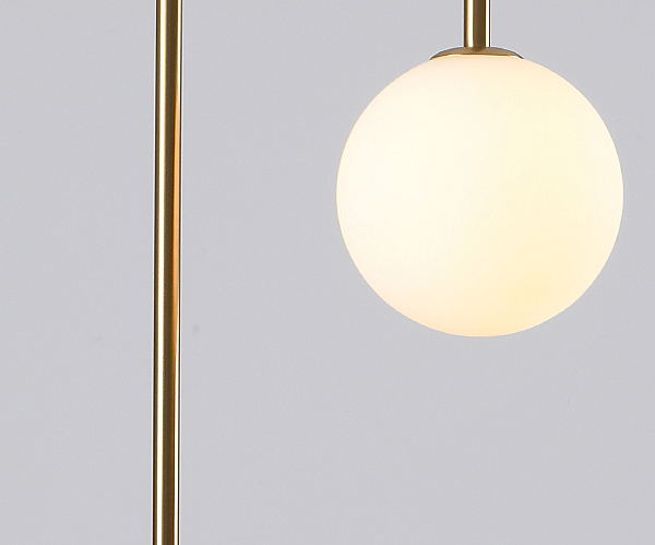 Светильник потолочный Ирэн 09488-2,20