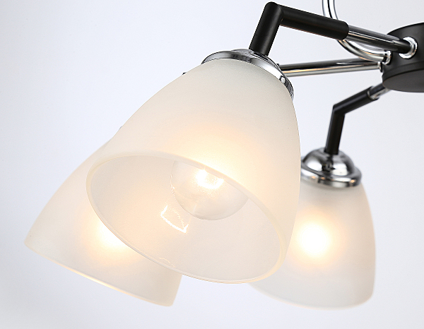 Потолочная люстра Modern TR303294