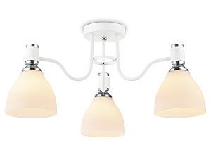 Потолочная люстра Modern TR303302