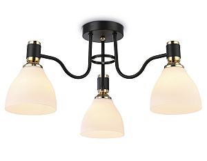 Потолочная люстра Modern TR303303