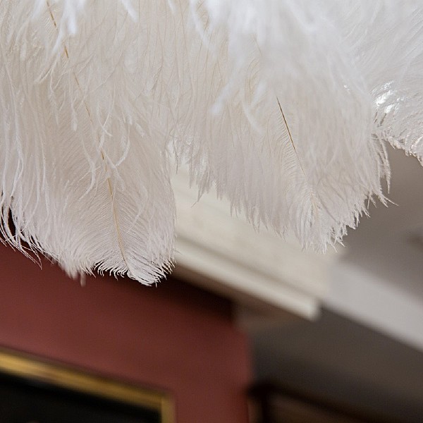 Подвесная люстра Feather Lamp L03408.02