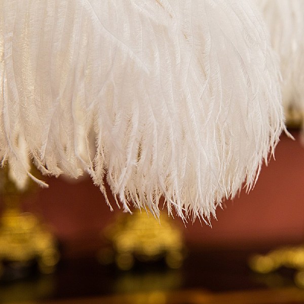 Торшер Feather Lamp L03441