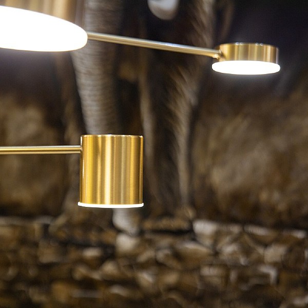 Люстра на штанге Gramma L42706.86