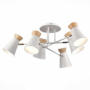 Потолочная люстра Alfeo SLE1252-502-06