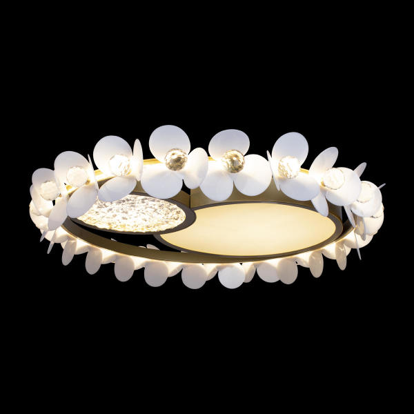 Потолочная люстра Bride 10174