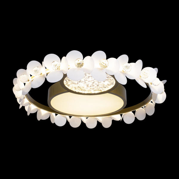 Потолочная люстра Bride 10174