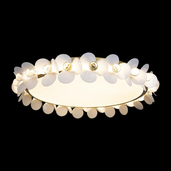 Потолочная люстра Bride 10176