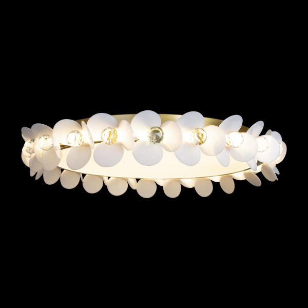 Потолочная люстра Bride 10176