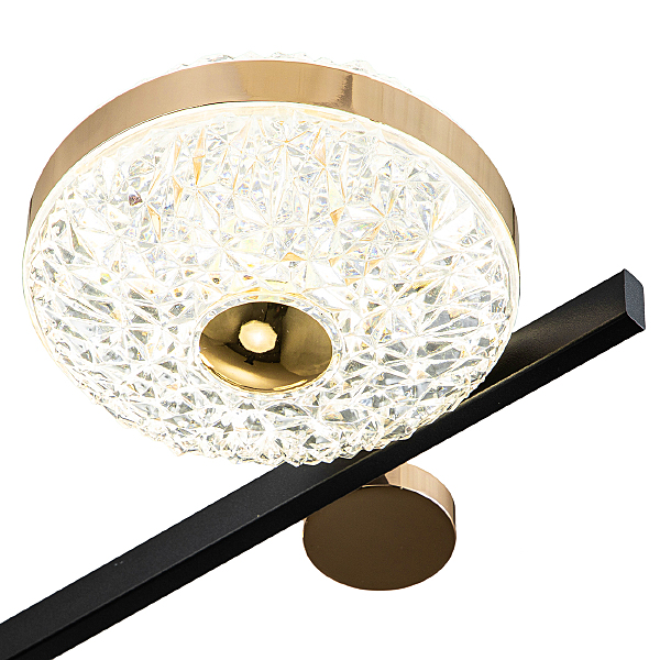 Потолочная люстра Divita 10219/6LED