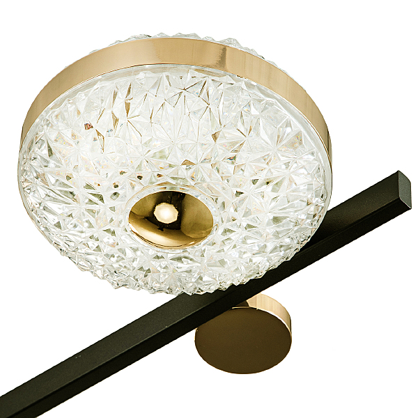 Потолочная люстра Divita 10219/6LED
