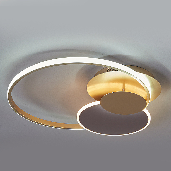 Потолочная люстра Pleiades 10247/3LED