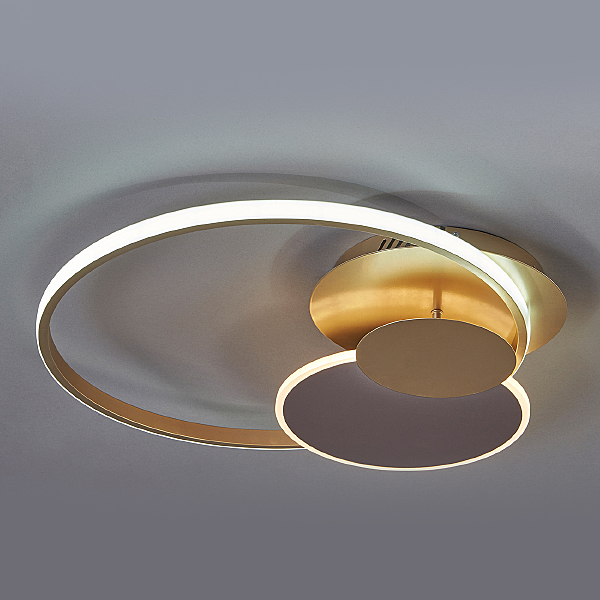 Потолочная люстра Pleiades 10247/3LED