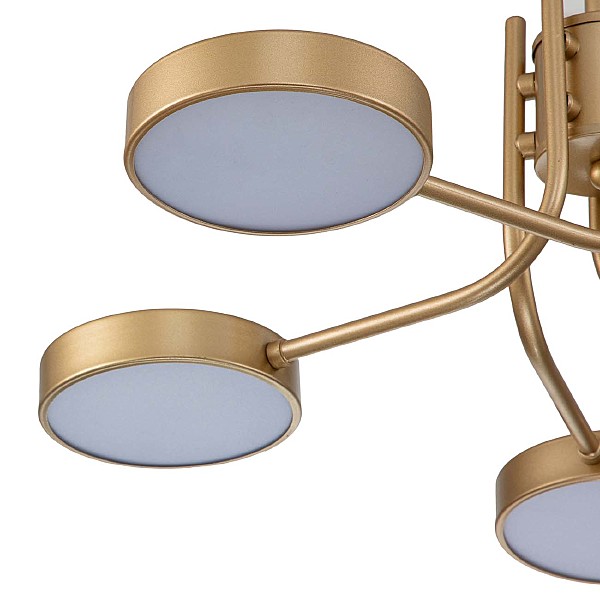 Потолочная люстра Skylar 10258/5LED