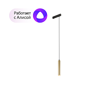 Трековый светильник Smart Spot DK8008-BG