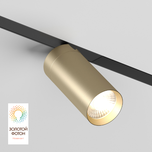 Трековый светильник Smart Spot DK8010-BG