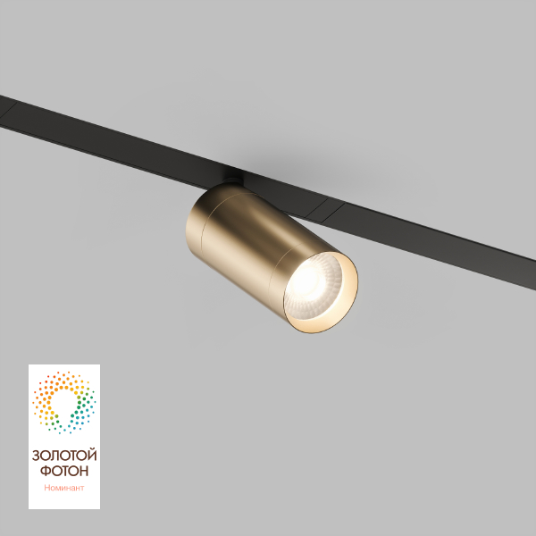 Трековый светильник Smart Spot DK8010-BG