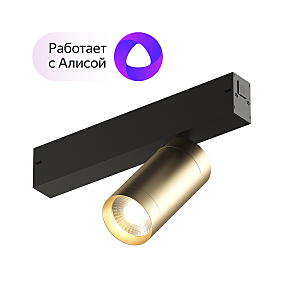 Трековый светильник Smart Spot DK8010-BG