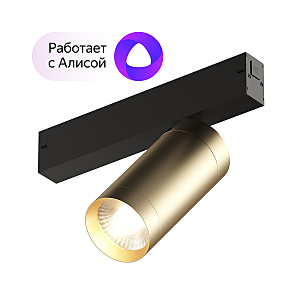 Трековый светильник Smart Spot DK8020-BG