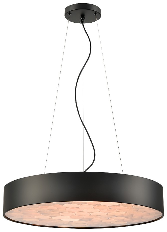 Edera