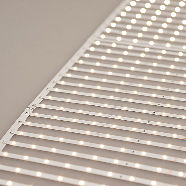 LED лента Arlight 027120