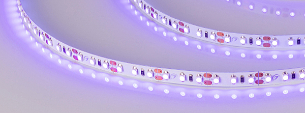 LED лента RT открытая 012812(2)