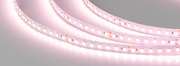 LED лента SHOP герметичная 028745(2)