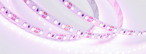 LED лента RT открытая 015897(2)