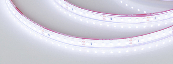 LED лента RTW герметичная 016835(1)