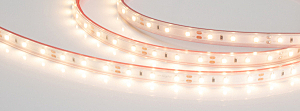 LED лента RT открытая 021101(2)