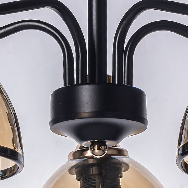 Потолочная люстра Дэла 635011005