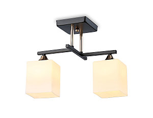 Потолочная люстра Modern TR303112