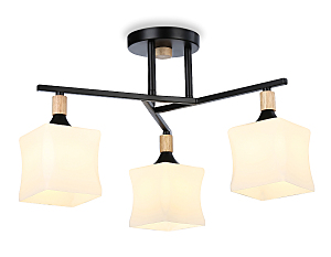 Потолочная люстра Modern TR9493