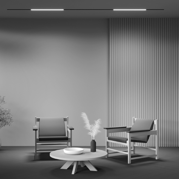 Трековый светильник Basis Gravity TR074-2-20W4K-B