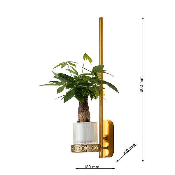 Настенное бра Greenery 4050-1W