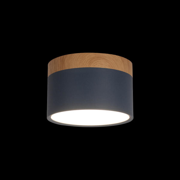 Накладной светильник Grape 10162 Blue