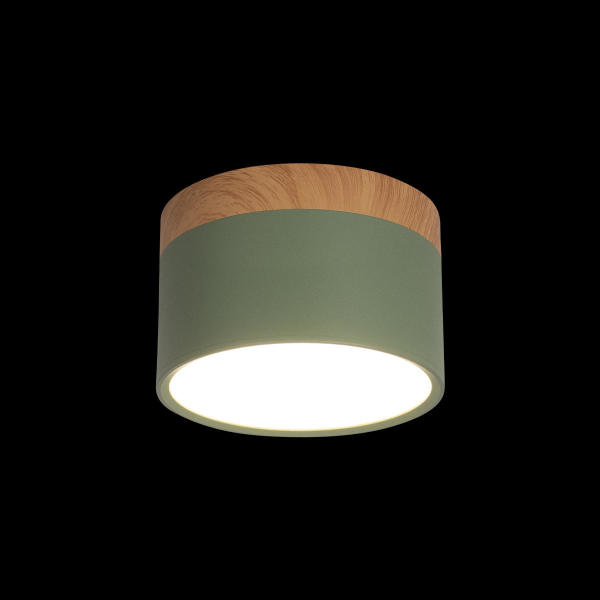 Накладной светильник Grape 10162 Green