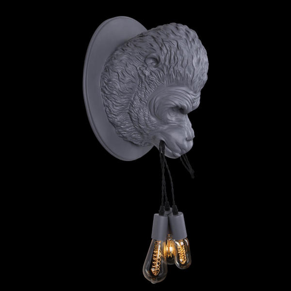 Настенный светильник Gorilla 10178 Grey