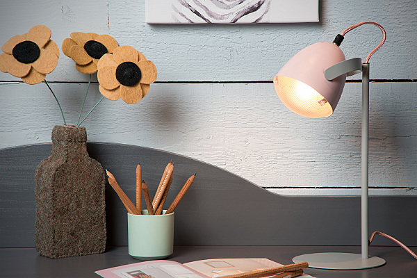 Настольная лампа Dylan 05537/01/66