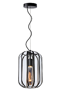 Светильник подвесной Fern 25409/01/30