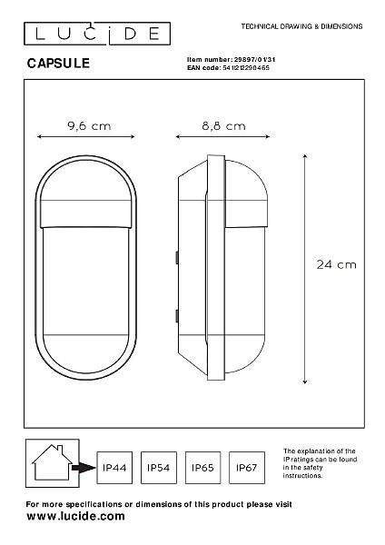 Уличный настенный светильник Capsule 29897/01/31