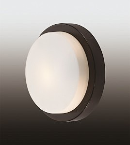 Светильник Odeon Light Hatred 2744/1C