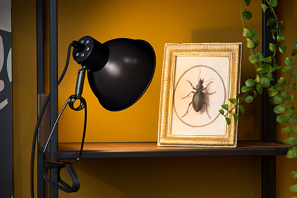 Настольная лампа Moys 45987/01/30