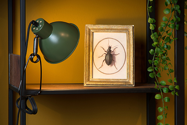 Настольная лампа Moys 45987/01/33