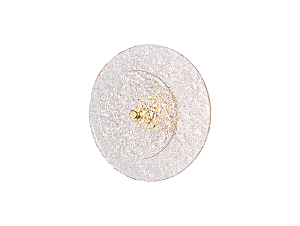 Настенный светильник 10820 10822/A brass