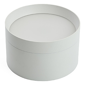 Накладной светильник HL370 48299